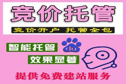 SEM竞价专员案例分析：成功背后的秘诀
